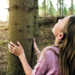 Hunton - Brug af træ giver klimaer en fremtid